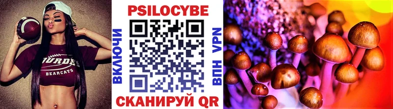 Псилоцибиновые грибы Magic Shrooms  закладки  omg tor  Ковылкино 